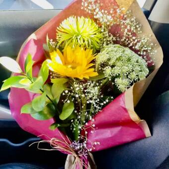 Henkilön Tara avatar