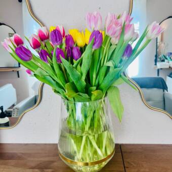 Henkilön Hailey avatar