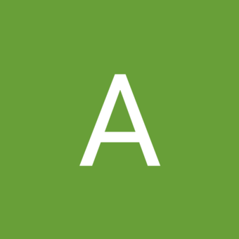 The avatar of a person