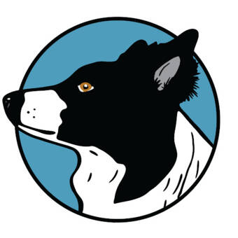 Avataren til Ahmad and Pat