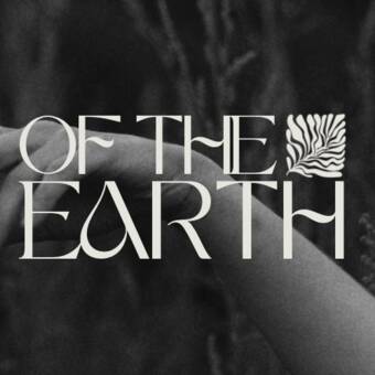 The avatar of a person