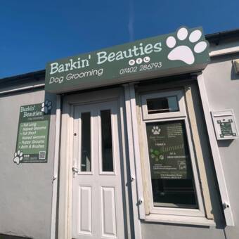 The avatar of Alisha