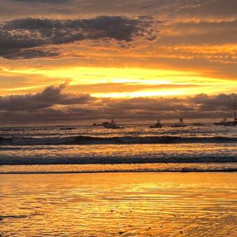 The avatar of William