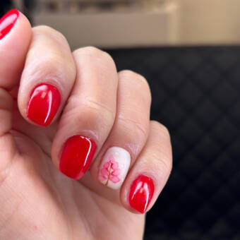 Avatar tilhørende Nayara